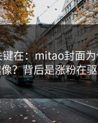 真正的关键在：mitao封面为什么越来越像？背后是涨粉在驱动