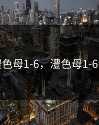 澧色母1-6，澧色母1-6汤