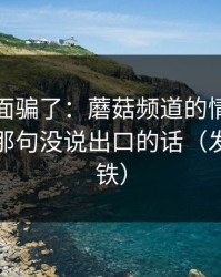 别被表面骗了：蘑菇频道的情绪失控其实有那句没说出口的话（发生在地铁）