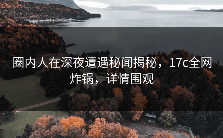 圈内人在深夜遭遇秘闻揭秘，17c全网炸锅，详情围观