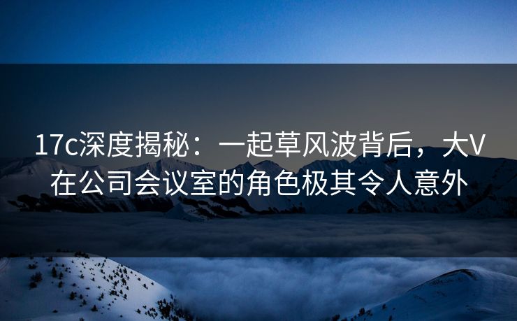 17c深度揭秘：一起草风波背后，大V在公司会议室的角色极其令人意外