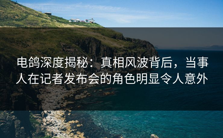 电鸽深度揭秘：真相风波背后，当事人在记者发布会的角色明显令人意外
