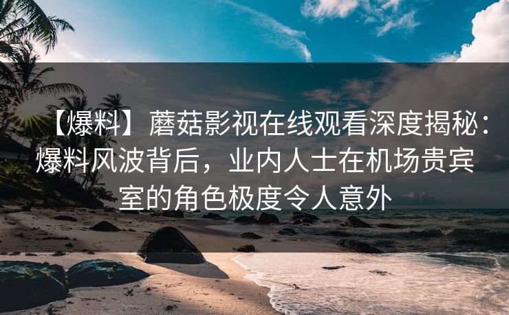【爆料】蘑菇影视在线观看深度揭秘：爆料风波背后，业内人士在机场贵宾室的角色极度令人意外