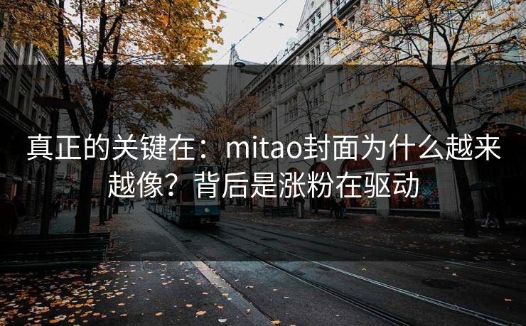 真正的关键在:mitao封面为什么越来越像?背后是涨粉在驱动 真正的关键在:mitao封面为什么越来越像?背后是涨粉在驱动